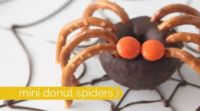 Mini Doughnut spiders